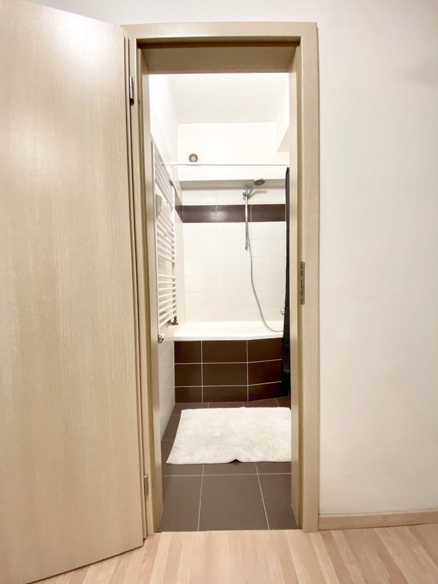 1 bedroom with open-plan kitchen flat to rent, 50 m², Sámova, Prague, Prague 1 bedroom with open-plan kitchen flat to rent, 50 m², Sámova, Prague, Prague
