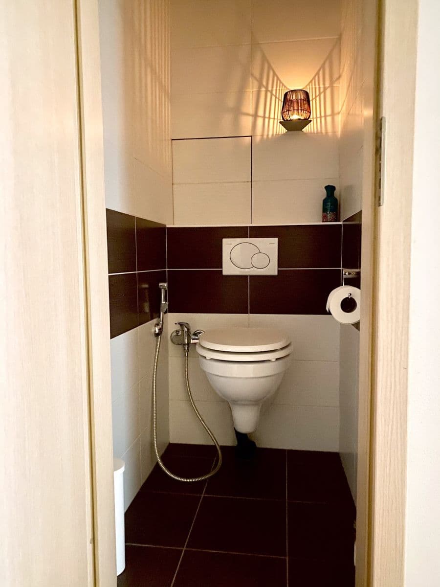 1 bedroom with open-plan kitchen flat to rent, 50 m², Sámova, Prague, Prague 1 bedroom with open-plan kitchen flat to rent, 50 m², Sámova, Prague, Prague