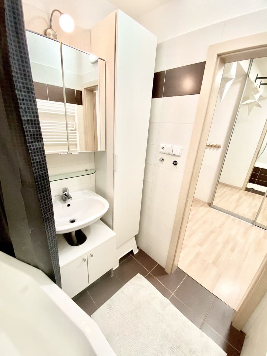 1 bedroom with open-plan kitchen flat to rent, 50 m², Sámova, Prague, Prague 1 bedroom with open-plan kitchen flat to rent, 50 m², Sámova, Prague, Prague