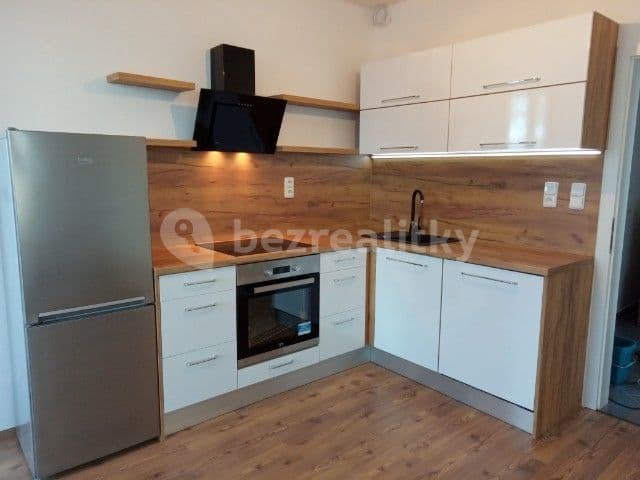 1 bedroom with open-plan kitchen flat to rent, 54 m², Medunova, Prague, Prague 1 bedroom with open-plan kitchen flat to rent, 54 m², Medunova, Prague, Prague