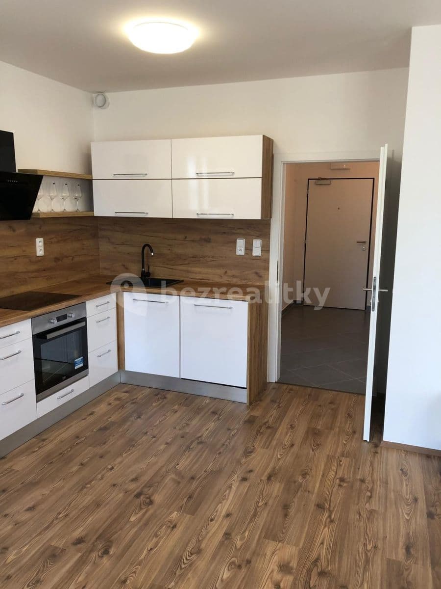 1 bedroom with open-plan kitchen flat to rent, 54 m², Medunova, Prague, Prague 1 bedroom with open-plan kitchen flat to rent, 54 m², Medunova, Prague, Prague