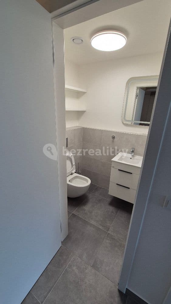 2 bedroom with open-plan kitchen flat to rent, 87 m², K Červenému vrchu, Prague, Prague 2 bedroom with open-plan kitchen flat to rent, 87 m², K Červenému vrchu, Prague, Prague