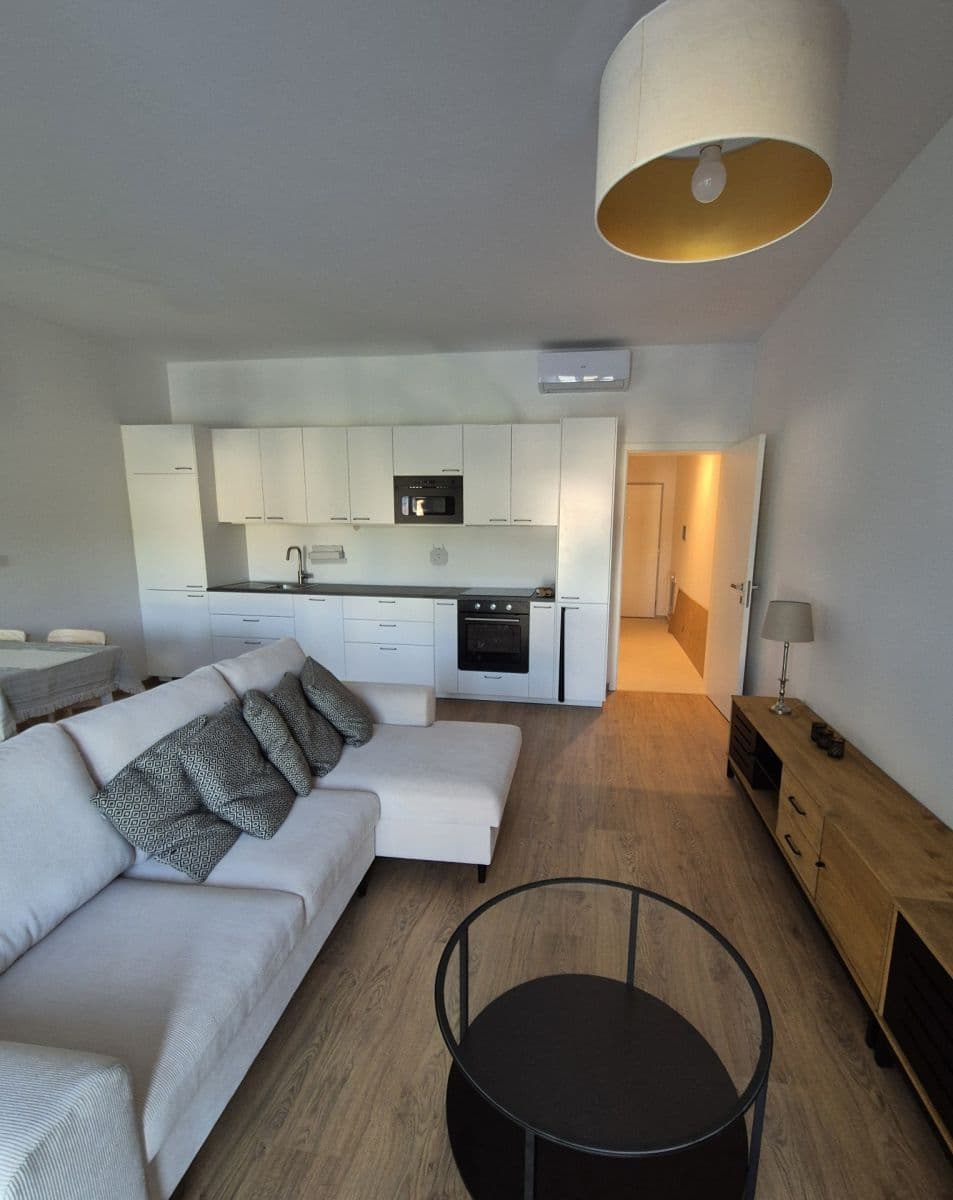 1 bedroom with open-plan kitchen flat to rent, 65 m², Týmlova, Prague, Prague 1 bedroom with open-plan kitchen flat to rent, 65 m², Týmlova, Prague, Prague