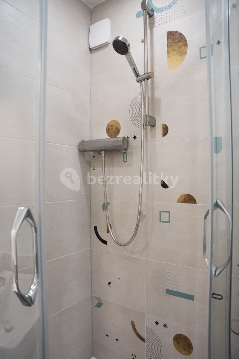 1 bedroom flat to rent, 40 m², Brněnská, Plzeň, Plzeňský Region 1 bedroom flat to rent, 40 m², Brněnská, Plzeň, Plzeňský Region