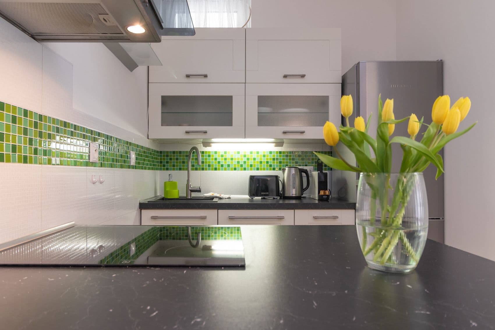 flat to rent, 40 m², U Michelského mlýna, Prague, Prague flat to rent, 40 m², U Michelského mlýna, Prague, Prague