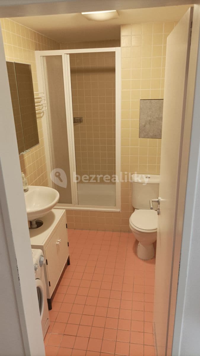 Studio flat to rent, 34 m², Sluneční náměstí, Prague, Prague Studio flat to rent, 34 m², Sluneční náměstí, Prague, Prague