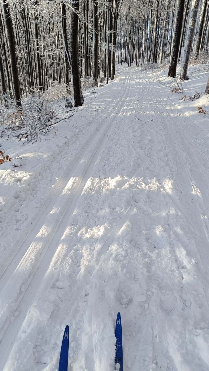 recreational property to rent, 0 m², Malé Svatoňovice, Královéhradecký Region recreational property to rent, 0 m², Malé Svatoňovice, Královéhradecký Region