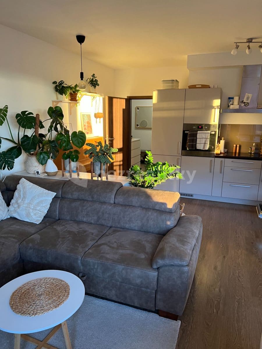 1 bedroom with open-plan kitchen flat to rent, 56 m², Bermanova, Prague, Prague 1 bedroom with open-plan kitchen flat to rent, 56 m², Bermanova, Prague, Prague