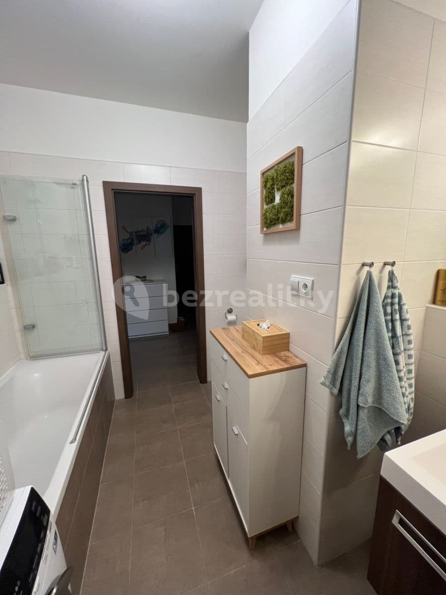 1 bedroom with open-plan kitchen flat to rent, 56 m², Bermanova, Prague, Prague 1 bedroom with open-plan kitchen flat to rent, 56 m², Bermanova, Prague, Prague