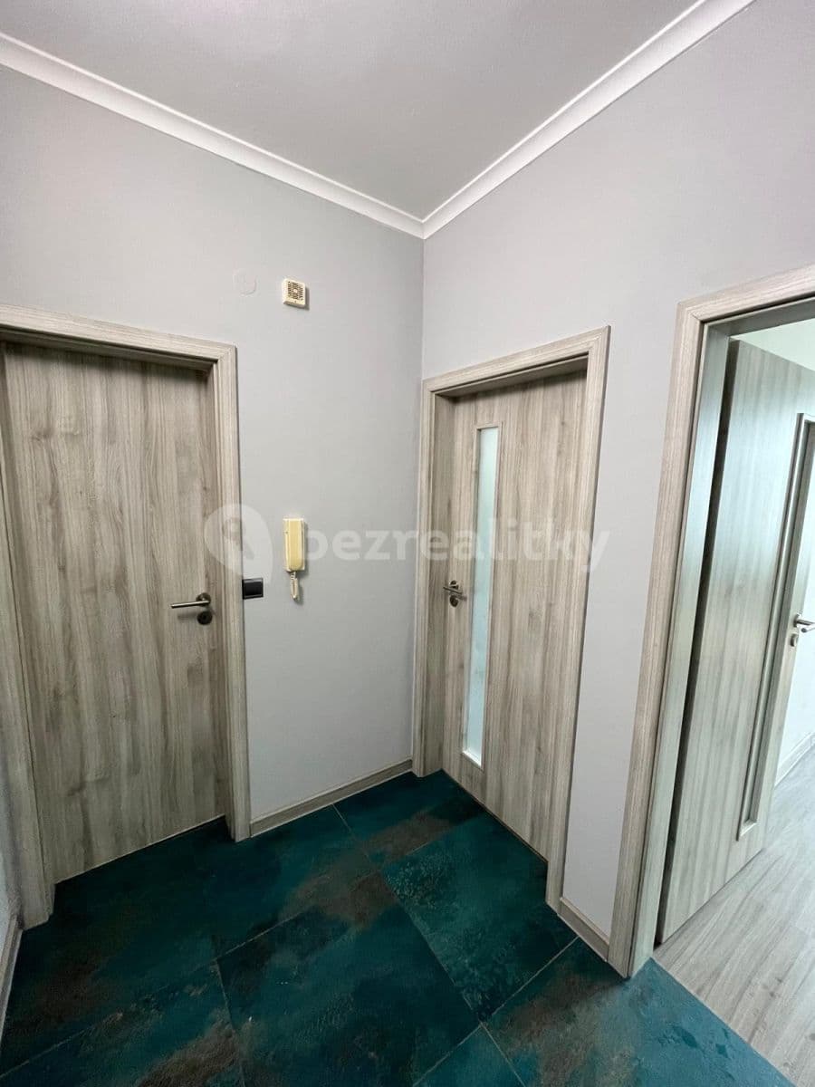 1 bedroom with open-plan kitchen flat to rent, 43 m², Lipnická, Prague, Prague 1 bedroom with open-plan kitchen flat to rent, 43 m², Lipnická, Prague, Prague