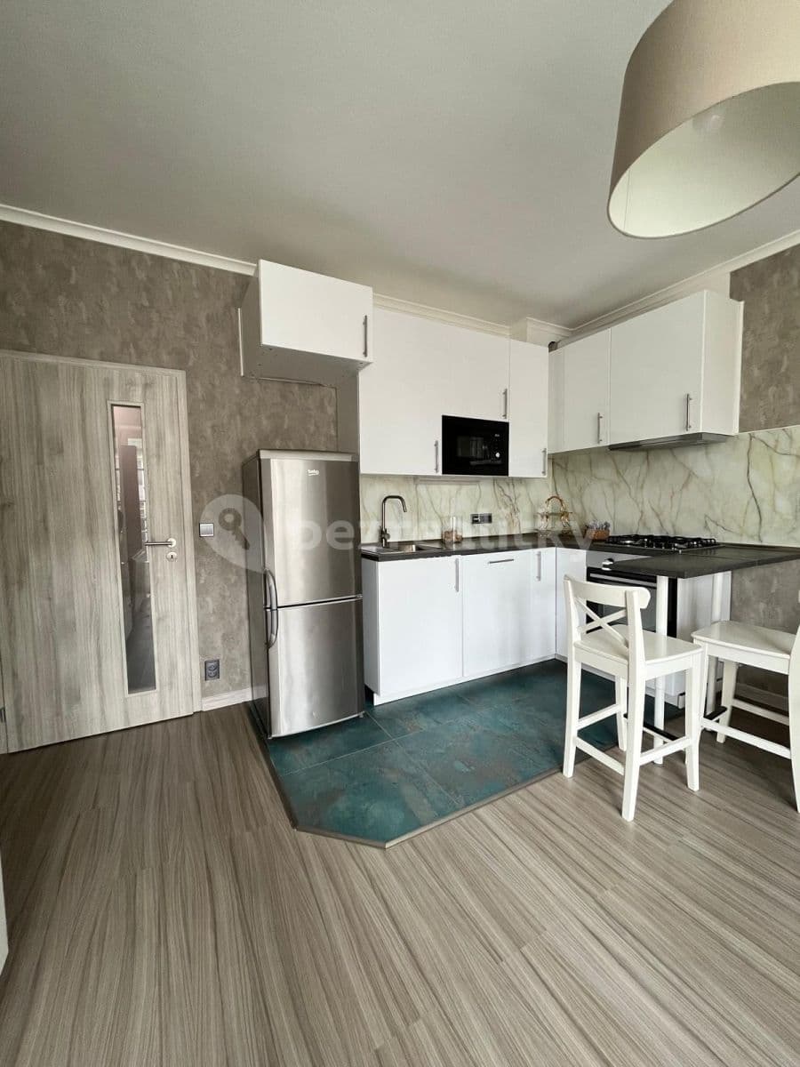 1 bedroom with open-plan kitchen flat to rent, 43 m², Lipnická, Prague, Prague 1 bedroom with open-plan kitchen flat to rent, 43 m², Lipnická, Prague, Prague