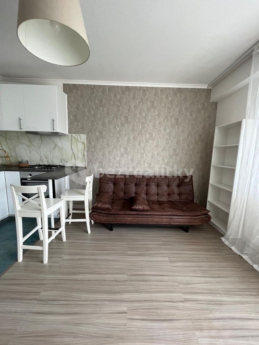 1 bedroom with open-plan kitchen flat to rent, 43 m², Lipnická, Prague, Prague 1 bedroom with open-plan kitchen flat to rent, 43 m², Lipnická, Prague, Prague