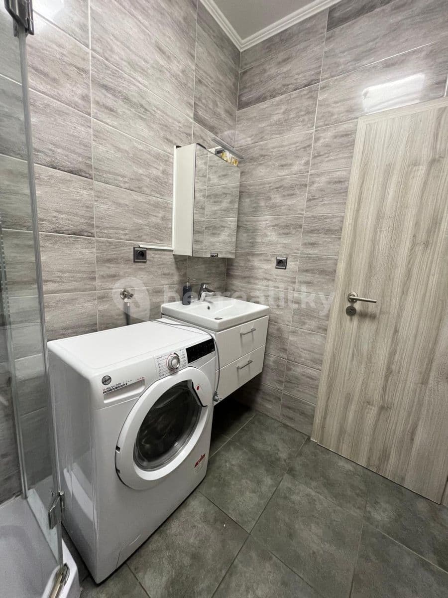1 bedroom with open-plan kitchen flat to rent, 43 m², Lipnická, Prague, Prague 1 bedroom with open-plan kitchen flat to rent, 43 m², Lipnická, Prague, Prague