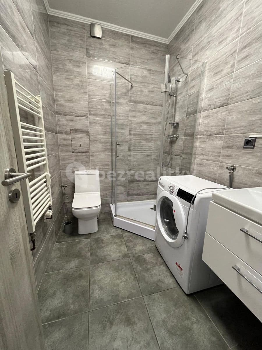 1 bedroom with open-plan kitchen flat to rent, 43 m², Lipnická, Prague, Prague 1 bedroom with open-plan kitchen flat to rent, 43 m², Lipnická, Prague, Prague