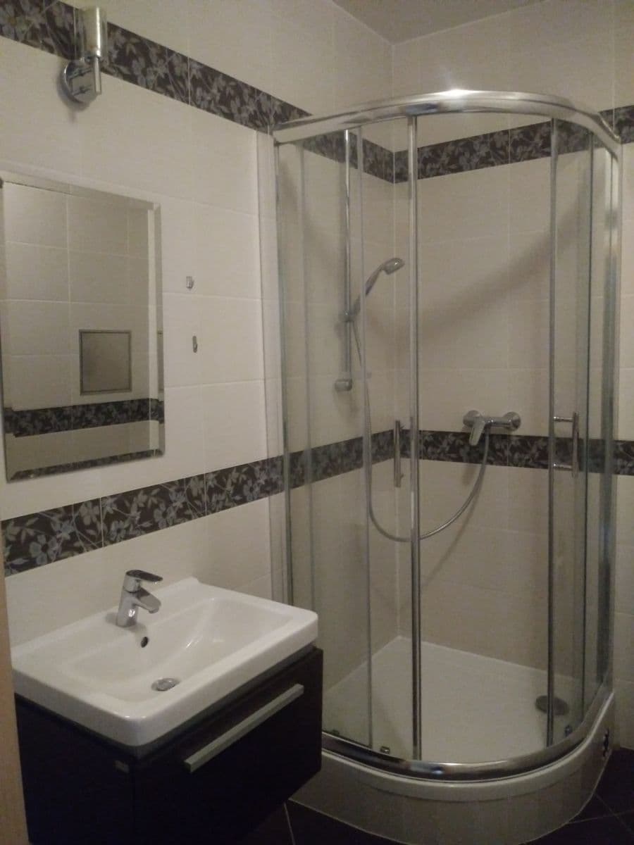 Studio flat to rent, 35 m², Prušánecká, Prague, Prague Studio flat to rent, 35 m², Prušánecká, Prague, Prague