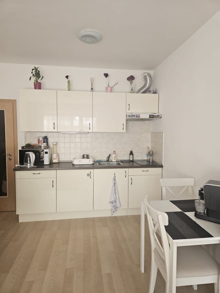 Studio flat to rent, 35 m², Prušánecká, Prague, Prague Studio flat to rent, 35 m², Prušánecká, Prague, Prague