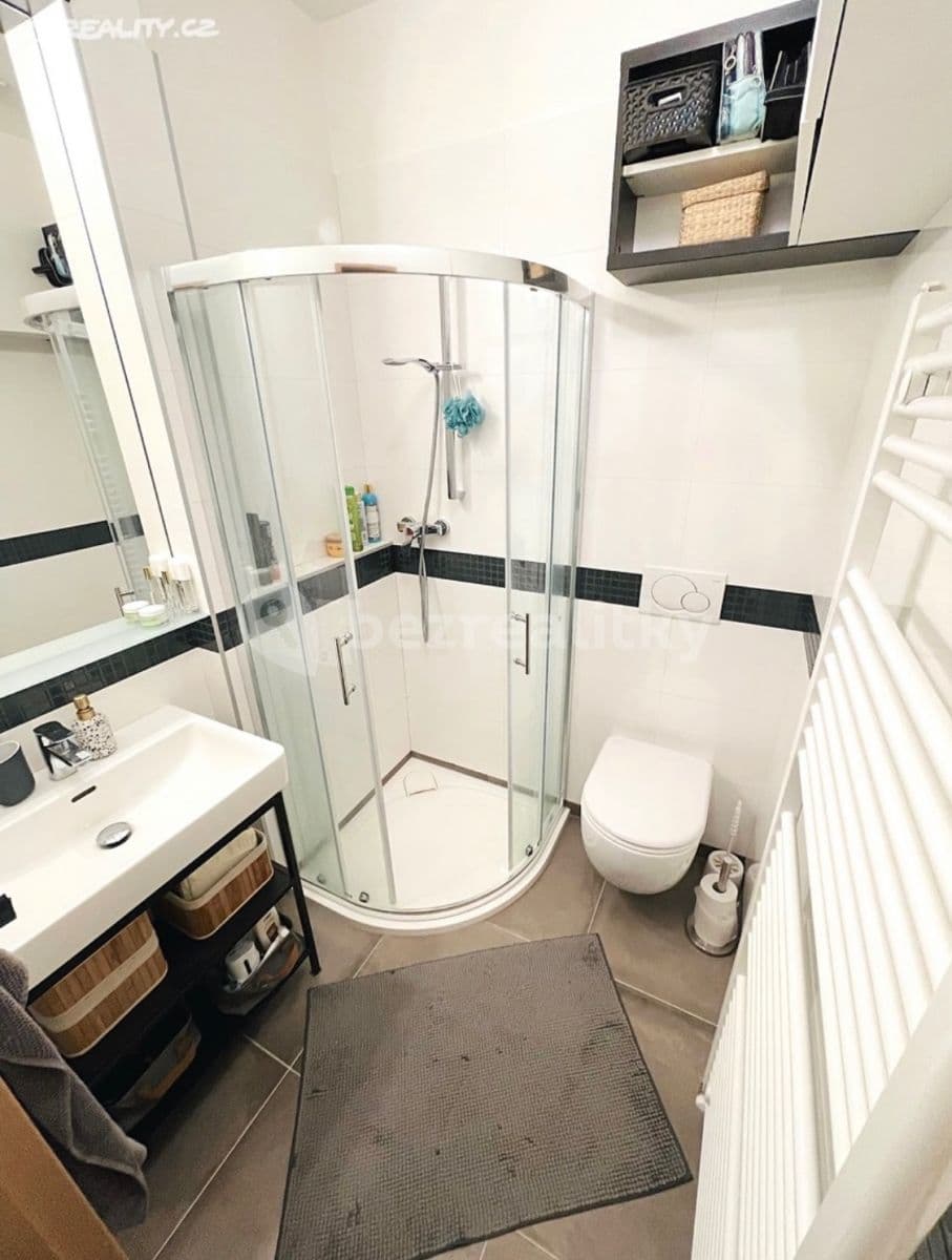 1 bedroom with open-plan kitchen flat to rent, 42 m², Kodaňská, Prague, Prague 1 bedroom with open-plan kitchen flat to rent, 42 m², Kodaňská, Prague, Prague