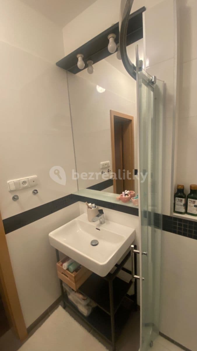 1 bedroom with open-plan kitchen flat to rent, 42 m², Kodaňská, Prague, Prague 1 bedroom with open-plan kitchen flat to rent, 42 m², Kodaňská, Prague, Prague