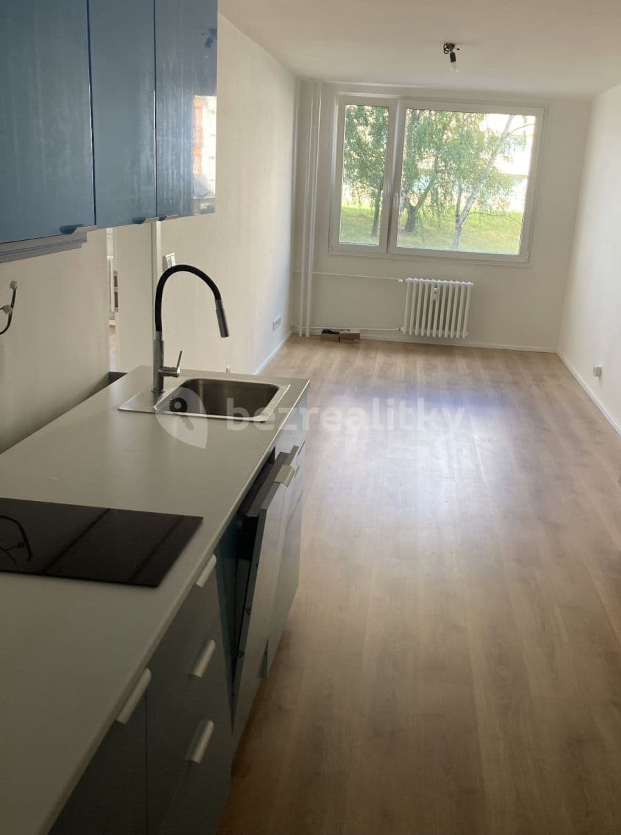 1 bedroom with open-plan kitchen flat to rent, 46 m², Čenětická, Prague, Prague 1 bedroom with open-plan kitchen flat to rent, 46 m², Čenětická, Prague, Prague