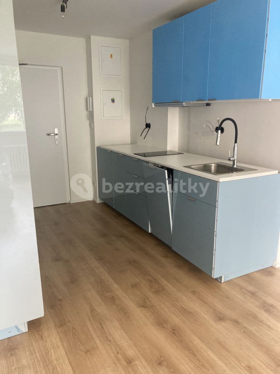 1 bedroom with open-plan kitchen flat to rent, 46 m², Čenětická, Prague, Prague 1 bedroom with open-plan kitchen flat to rent, 46 m², Čenětická, Prague, Prague