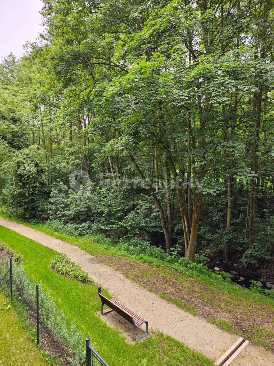 Studio flat to rent, 37 m², K Jezeru, Prague, Prague Studio flat to rent, 37 m², K Jezeru, Prague, Prague