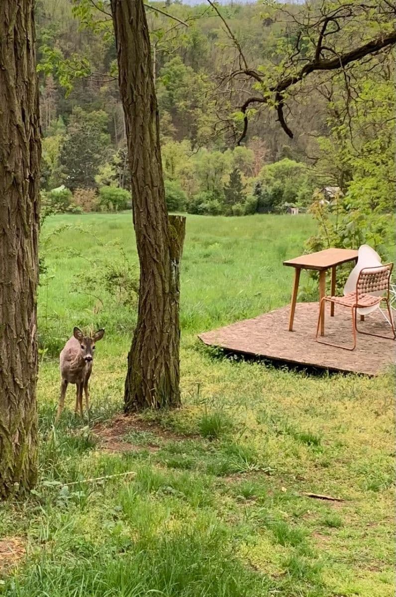 plot for sale, 2,112 m², Nebovidy, Jihomoravský Region plot for sale, 2,112 m², Nebovidy, Jihomoravský Region