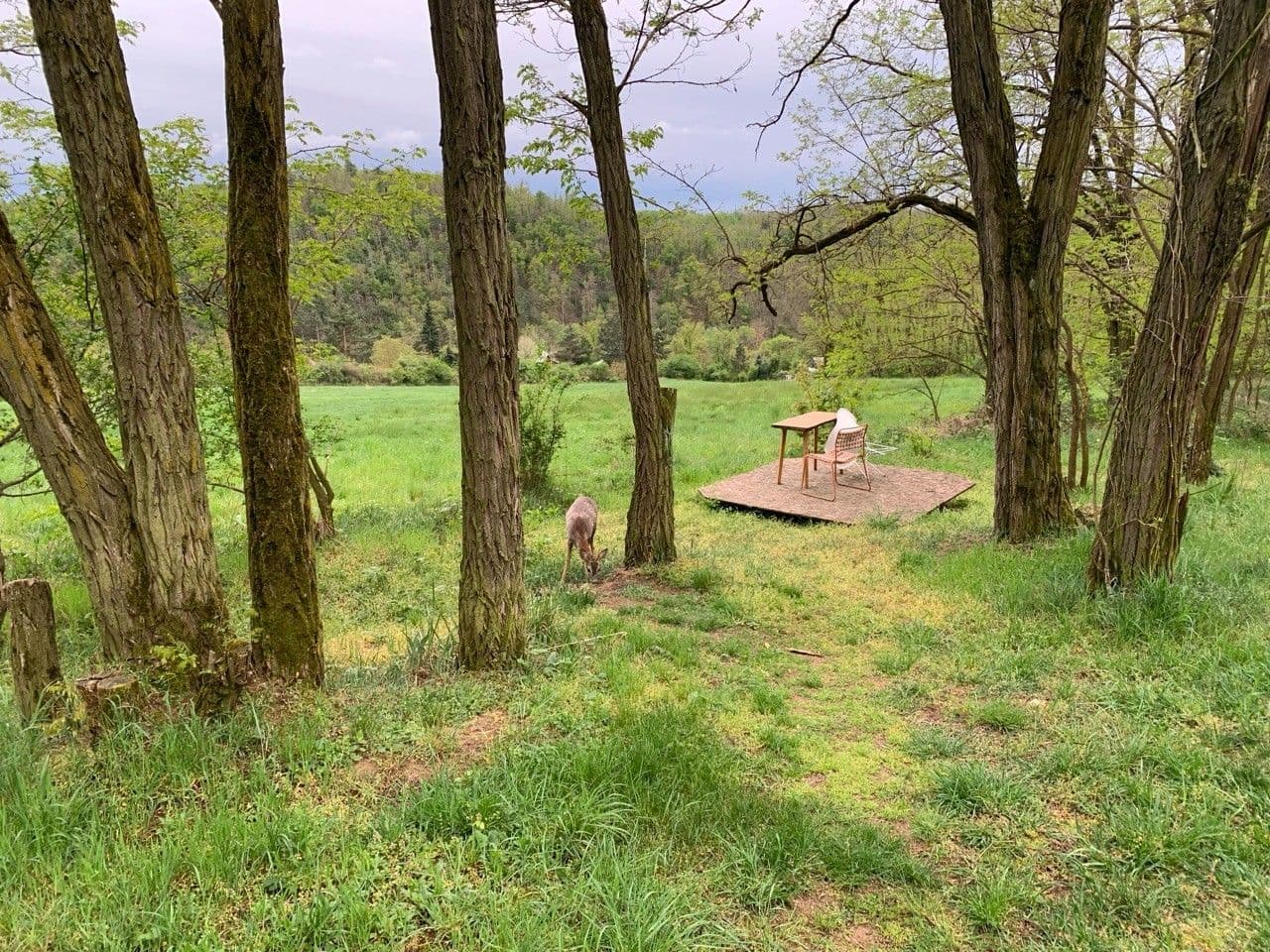 plot for sale, 2,112 m², Nebovidy, Jihomoravský Region plot for sale, 2,112 m², Nebovidy, Jihomoravský Region