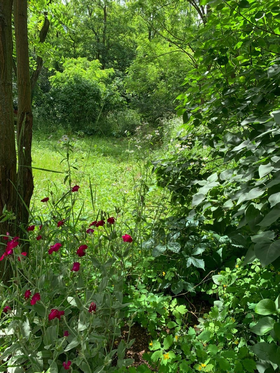 plot for sale, 2,112 m², Nebovidy, Jihomoravský Region plot for sale, 2,112 m², Nebovidy, Jihomoravský Region