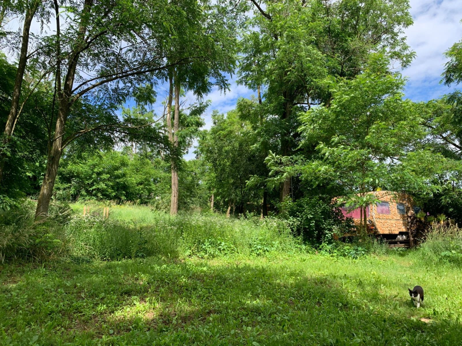 plot for sale, 2,112 m², Nebovidy, Jihomoravský Region plot for sale, 2,112 m², Nebovidy, Jihomoravský Region