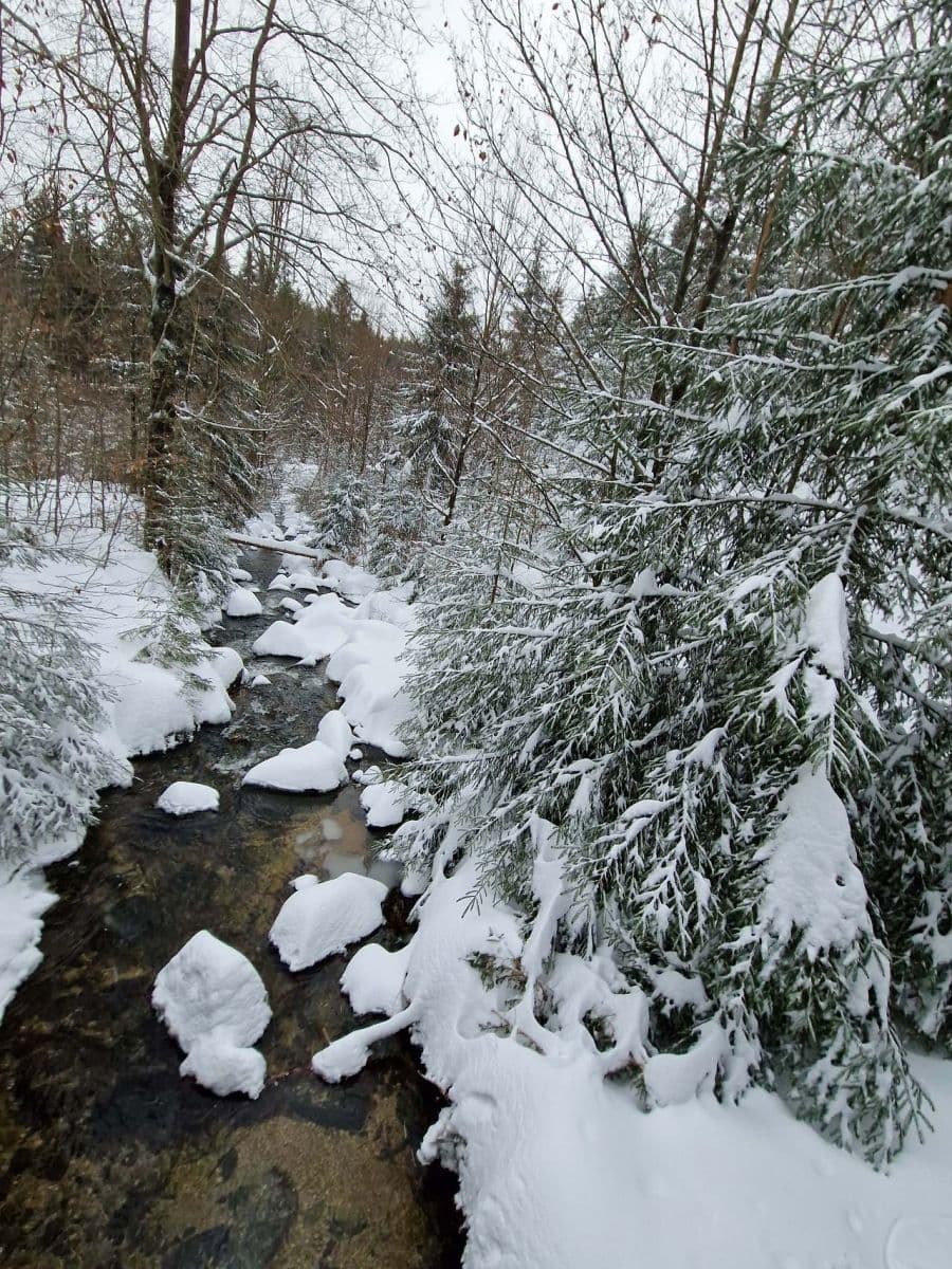 recreational property to rent, 0 m², Josefův Důl, Liberecký Region recreational property to rent, 0 m², Josefův Důl, Liberecký Region