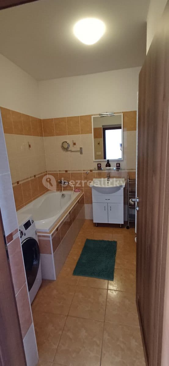 1 bedroom with open-plan kitchen flat to rent, 64 m², Blšanecká, Prague, Prague 1 bedroom with open-plan kitchen flat to rent, 64 m², Blšanecká, Prague, Prague