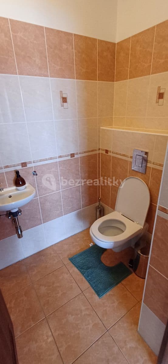 1 bedroom with open-plan kitchen flat to rent, 64 m², Blšanecká, Prague, Prague 1 bedroom with open-plan kitchen flat to rent, 64 m², Blšanecká, Prague, Prague