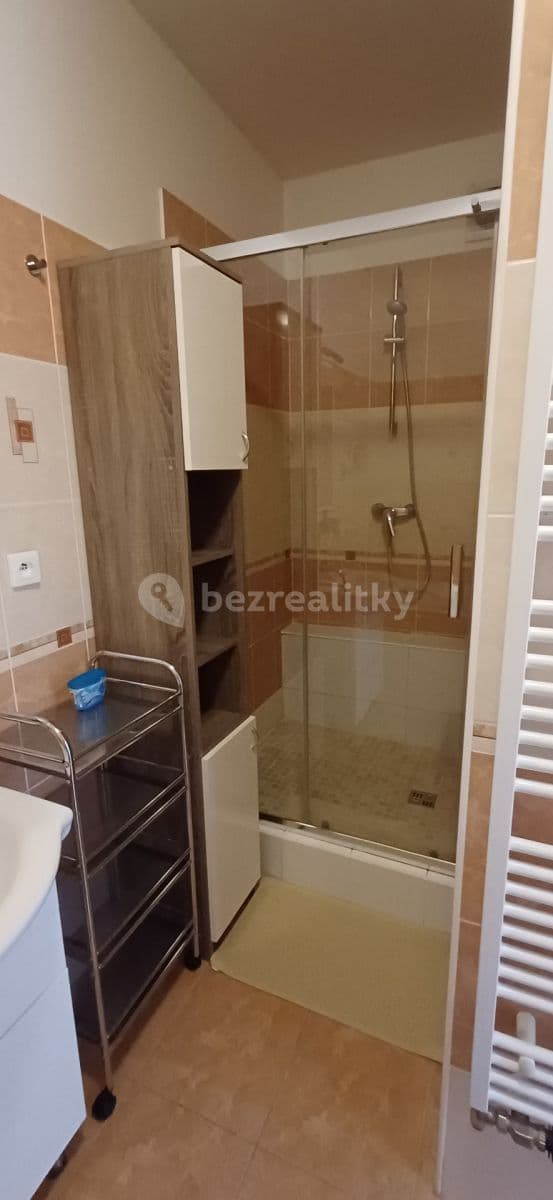 1 bedroom with open-plan kitchen flat to rent, 64 m², Blšanecká, Prague, Prague 1 bedroom with open-plan kitchen flat to rent, 64 m², Blšanecká, Prague, Prague