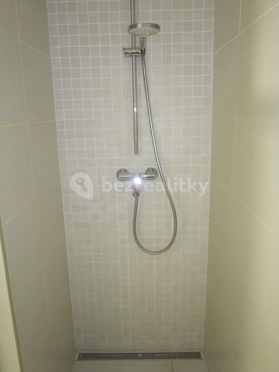 2 bedroom with open-plan kitchen flat to rent, 96 m², Plzeňská, Prague, Prague 2 bedroom with open-plan kitchen flat to rent, 96 m², Plzeňská, Prague, Prague