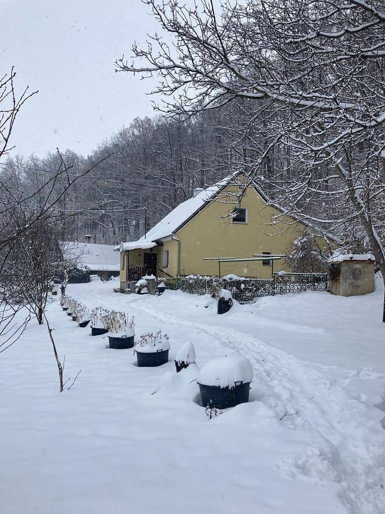 recreational property to rent, 0 m², Žulová, Olomoucký Region recreational property to rent, 0 m², Žulová, Olomoucký Region