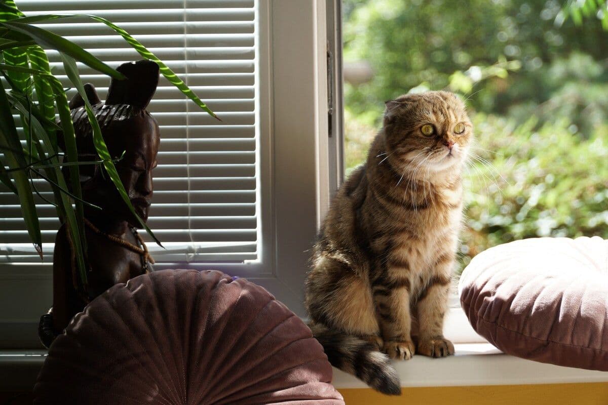 flat to rent, 16 m², Biskupcova, Prague, Prague flat to rent, 16 m², Biskupcova, Prague, Prague