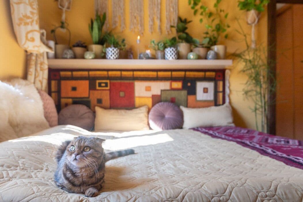 flat to rent, 16 m², Biskupcova, Prague, Prague flat to rent, 16 m², Biskupcova, Prague, Prague