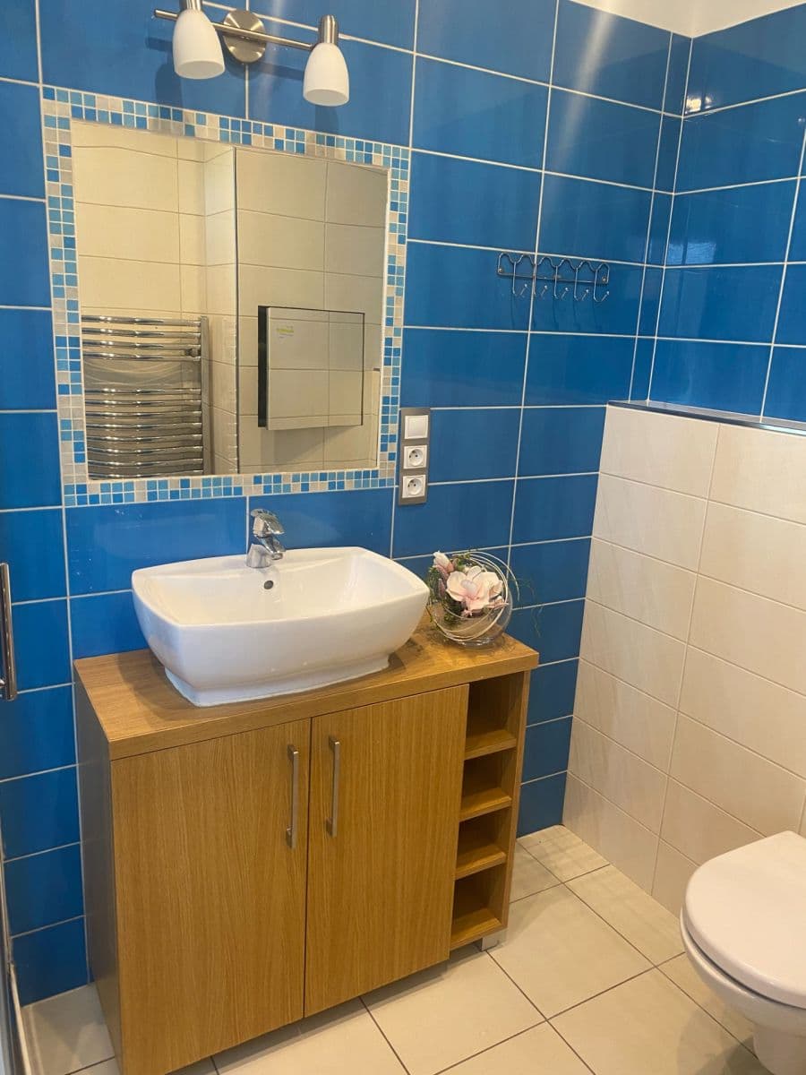 1 bedroom with open-plan kitchen flat to rent, 60 m², Školní, Drásov, Jihomoravský Region 1 bedroom with open-plan kitchen flat to rent, 60 m², Školní, Drásov, Jihomoravský Region