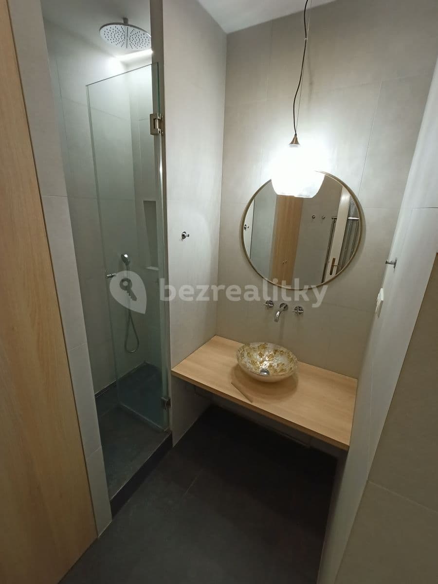 1 bedroom with open-plan kitchen flat to rent, 50 m², U Nikolajky, Prague, Prague 1 bedroom with open-plan kitchen flat to rent, 50 m², U Nikolajky, Prague, Prague