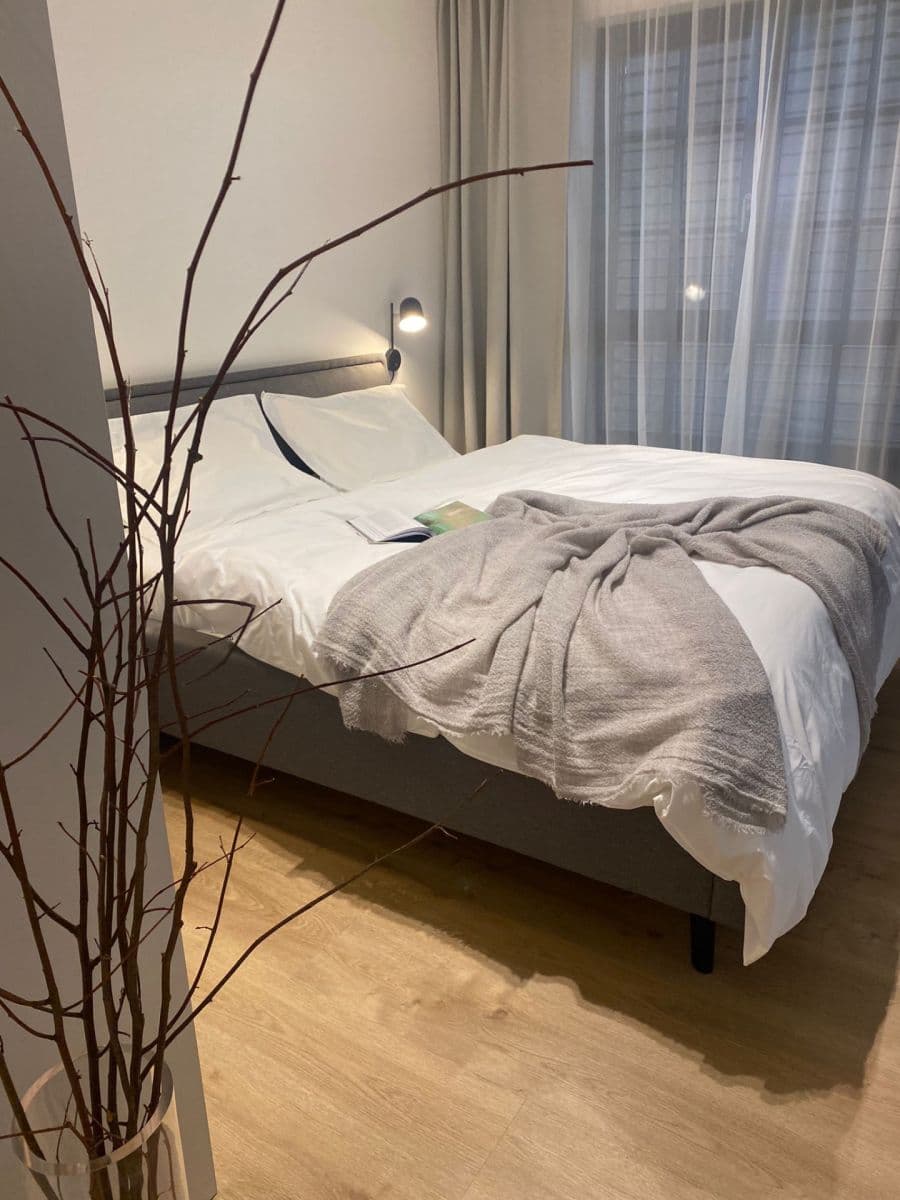 1 bedroom with open-plan kitchen flat to rent, 54 m², U Lihovaru, Prague, Prague 1 bedroom with open-plan kitchen flat to rent, 54 m², U Lihovaru, Prague, Prague