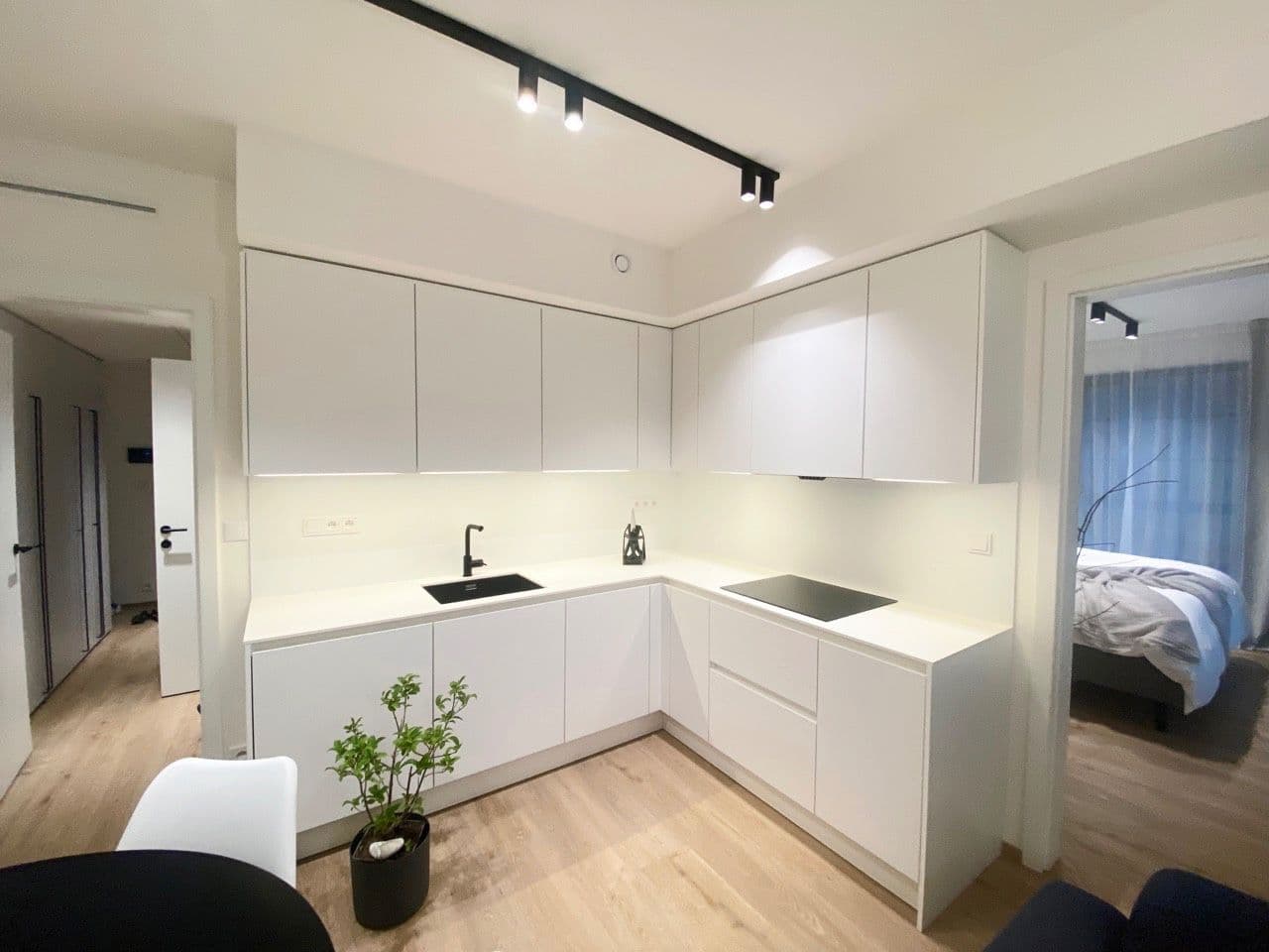 1 bedroom with open-plan kitchen flat to rent, 54 m², U Lihovaru, Prague, Prague 1 bedroom with open-plan kitchen flat to rent, 54 m², U Lihovaru, Prague, Prague