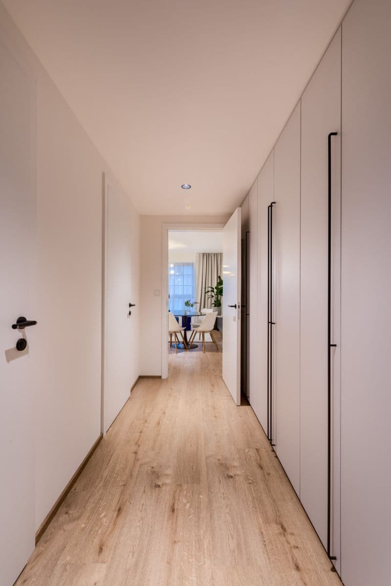 1 bedroom with open-plan kitchen flat to rent, 54 m², U Lihovaru, Prague, Prague 1 bedroom with open-plan kitchen flat to rent, 54 m², U Lihovaru, Prague, Prague