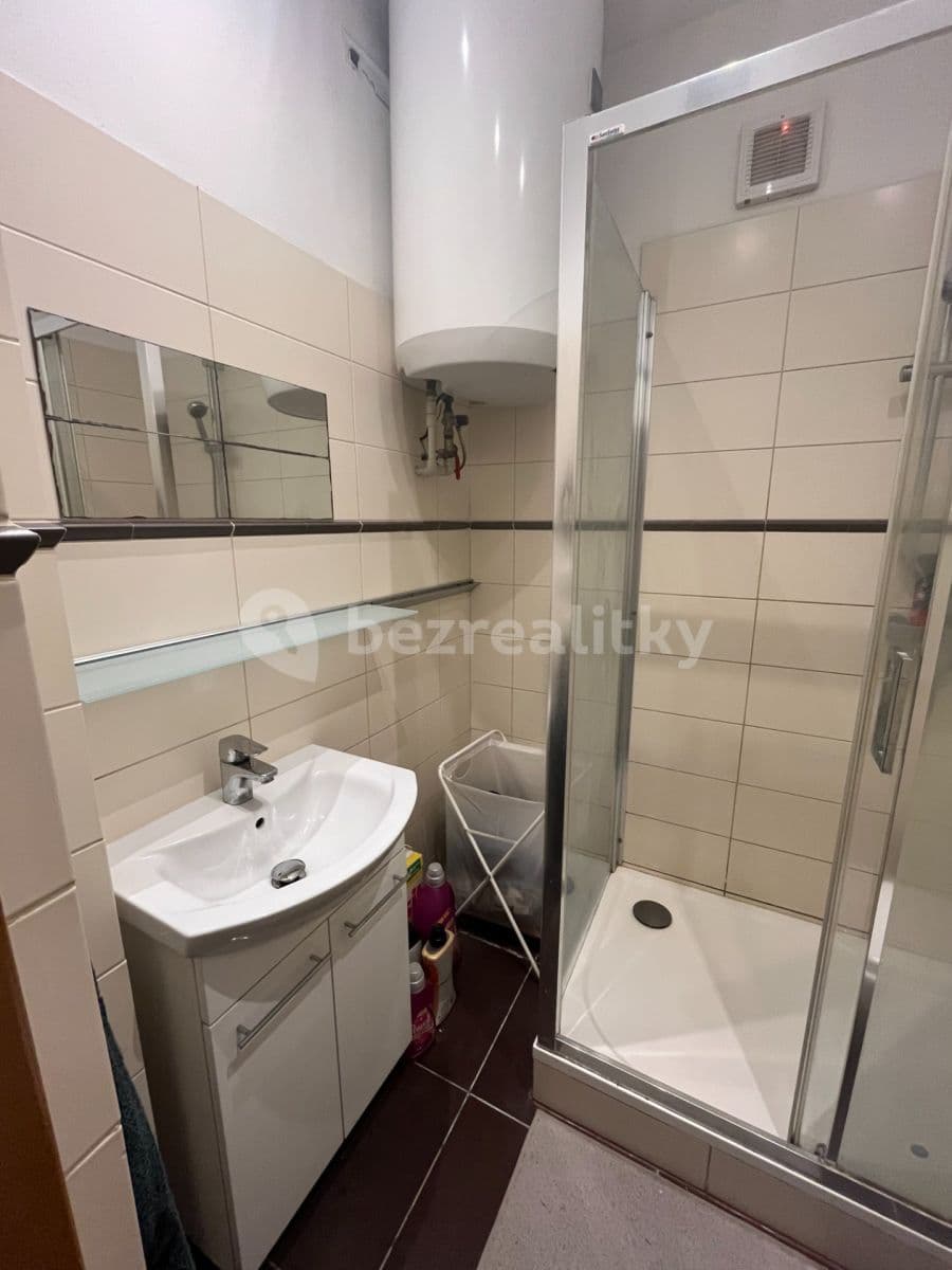 1 bedroom with open-plan kitchen flat to rent, 45 m², Zelenky-Hajského, Prague, Prague 1 bedroom with open-plan kitchen flat to rent, 45 m², Zelenky-Hajského, Prague, Prague