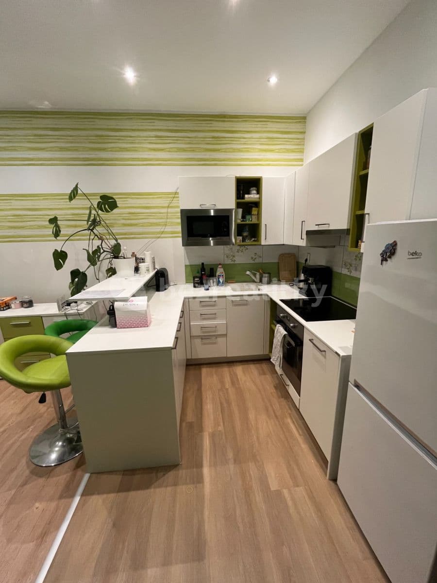 1 bedroom with open-plan kitchen flat to rent, 45 m², Zelenky-Hajského, Prague, Prague 1 bedroom with open-plan kitchen flat to rent, 45 m², Zelenky-Hajského, Prague, Prague
