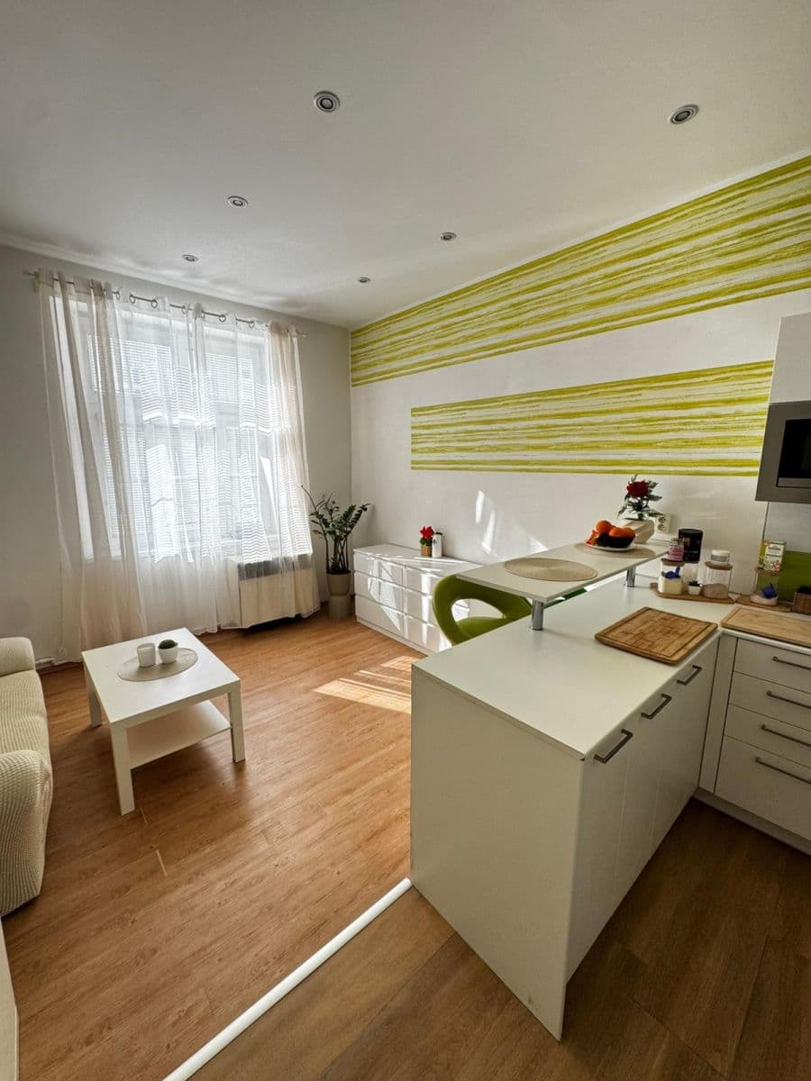 1 bedroom with open-plan kitchen flat to rent, 45 m², Zelenky-Hajského, Prague, Prague 1 bedroom with open-plan kitchen flat to rent, 45 m², Zelenky-Hajského, Prague, Prague