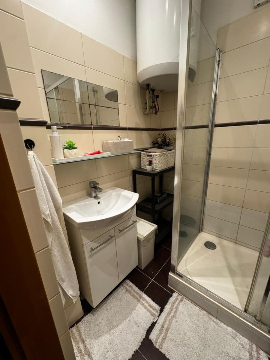 1 bedroom with open-plan kitchen flat to rent, 45 m², Zelenky-Hajského, Prague, Prague 1 bedroom with open-plan kitchen flat to rent, 45 m², Zelenky-Hajského, Prague, Prague