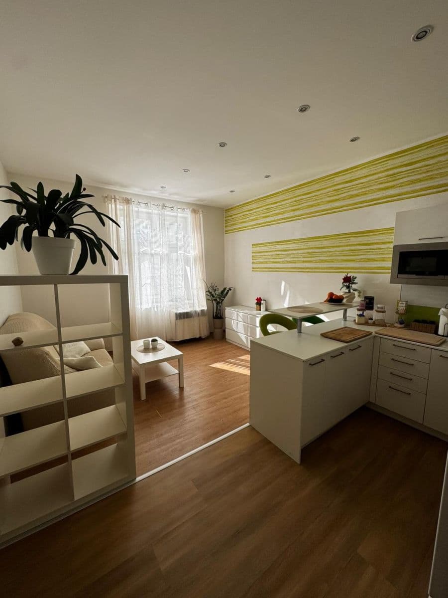 1 bedroom with open-plan kitchen flat to rent, 45 m², Zelenky-Hajského, Prague, Prague 1 bedroom with open-plan kitchen flat to rent, 45 m², Zelenky-Hajského, Prague, Prague