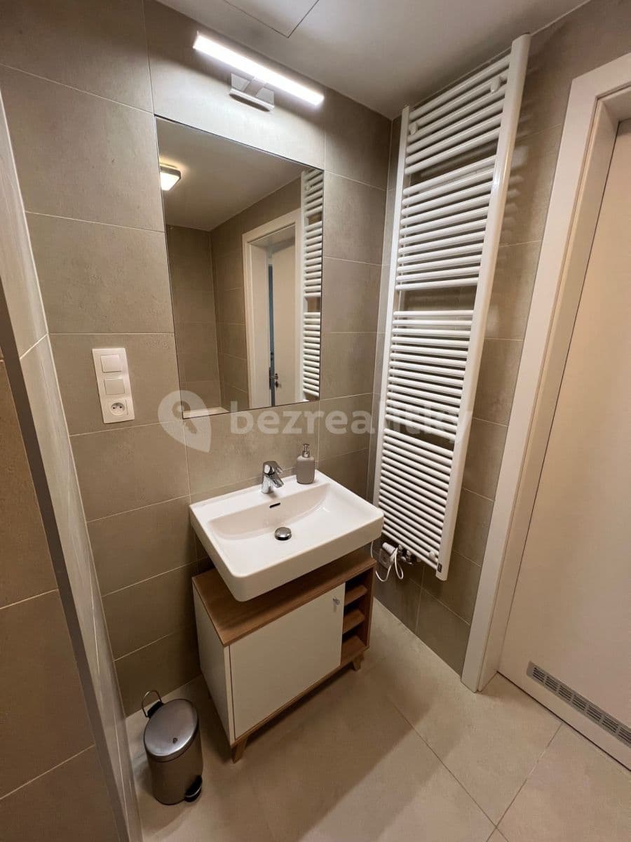 1 bedroom with open-plan kitchen flat to rent, 53 m², Benešova, Prague, Prague 1 bedroom with open-plan kitchen flat to rent, 53 m², Benešova, Prague, Prague