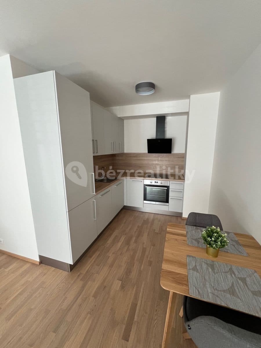 1 bedroom with open-plan kitchen flat to rent, 53 m², Benešova, Prague, Prague 1 bedroom with open-plan kitchen flat to rent, 53 m², Benešova, Prague, Prague