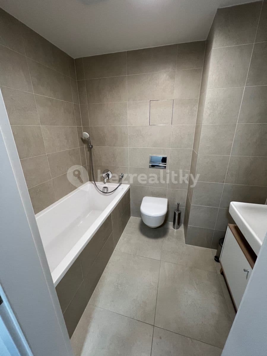 1 bedroom with open-plan kitchen flat to rent, 53 m², Benešova, Prague, Prague 1 bedroom with open-plan kitchen flat to rent, 53 m², Benešova, Prague, Prague